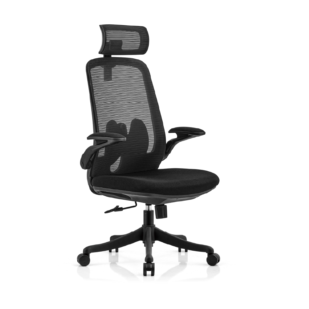 EC-A2206 ERGONOMIC HIGH BACK CHAIR